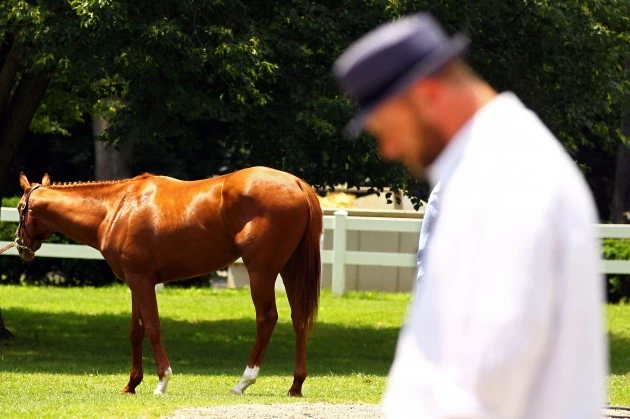 Triple Crown Hopeful "I'll Have Another" Will Not Run Belmont