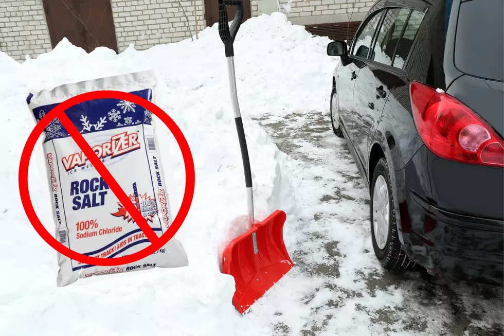 Out Of Rock Salt? Use This Instead In New York State