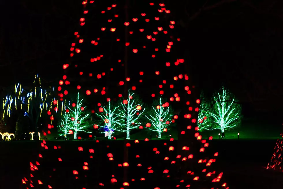 Washington Co. Fairgrounds 1.5 Mile Drive-Thru XMas Light Display