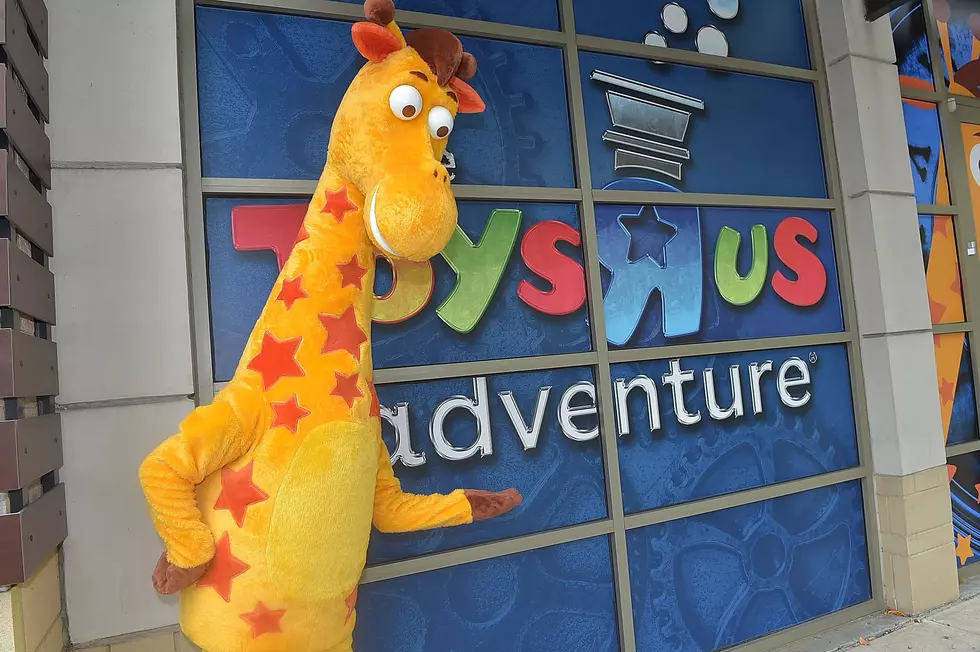 Toys"R"Us Adventure Atlanta Opening Preview